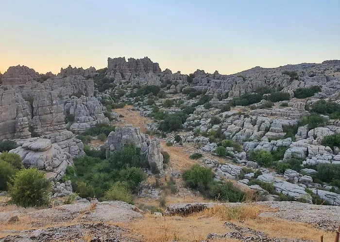 Nalkia